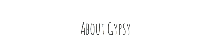 &nbsp;About Gypsy